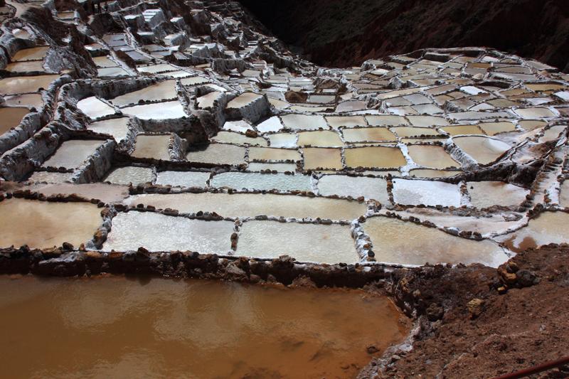 437-Maras,saline,10 luglio 2013.JPG